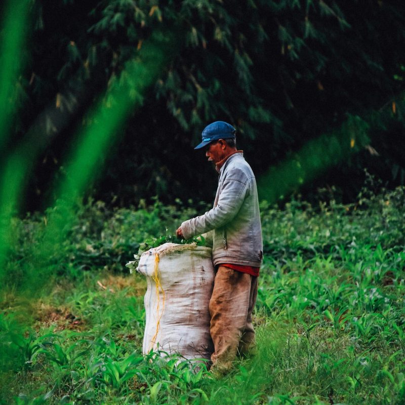 hasbi-kurnia-S-6REHInVko-unsplash